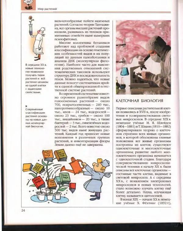  Энциклопедия для детей Аванта+ - Энциклопедия для детей. Том 43. Ботаника - Страница № 28