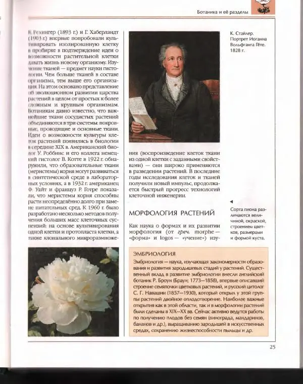  Энциклопедия для детей Аванта+ - Энциклопедия для детей. Том 43. Ботаника - Страница № 29