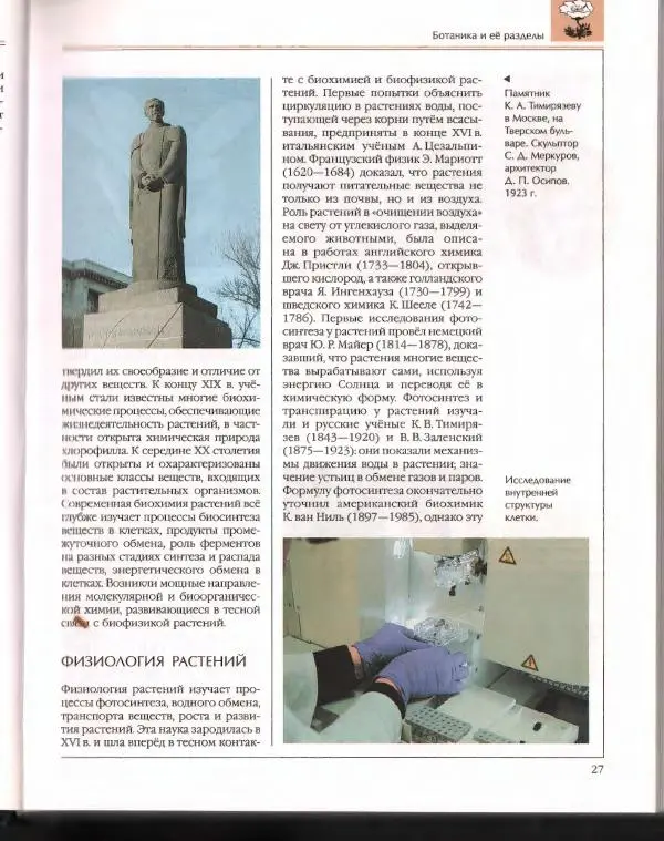  Энциклопедия для детей Аванта+ - Энциклопедия для детей. Том 43. Ботаника - Страница № 31