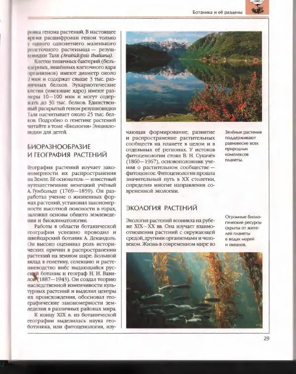  Энциклопедия для детей Аванта+ - Энциклопедия для детей. Том 43. Ботаника - Страница № 33