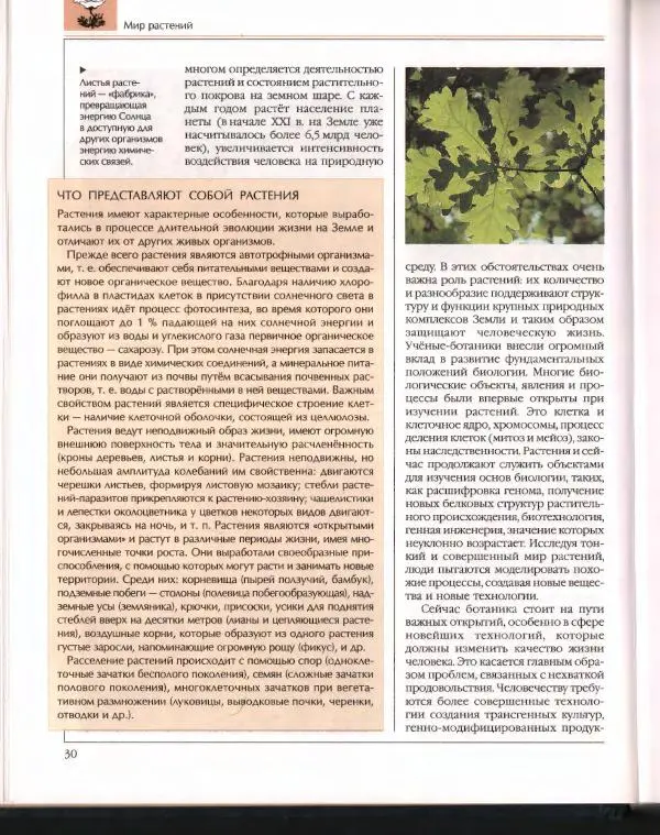  Энциклопедия для детей Аванта+ - Энциклопедия для детей. Том 43. Ботаника - Страница № 34