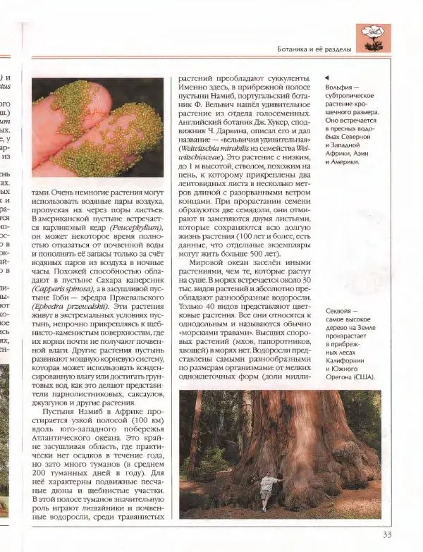  Энциклопедия для детей Аванта+ - Энциклопедия для детей. Том 43. Ботаника - Страница № 37