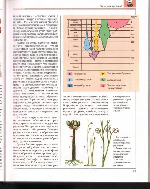  Энциклопедия для детей Аванта+ - Энциклопедия для детей. Том 43. Ботаника - Страница № 47