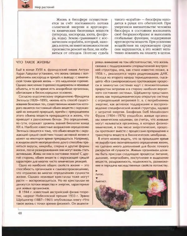  Энциклопедия для детей Аванта+ - Энциклопедия для детей. Том 43. Ботаника - Страница № 52