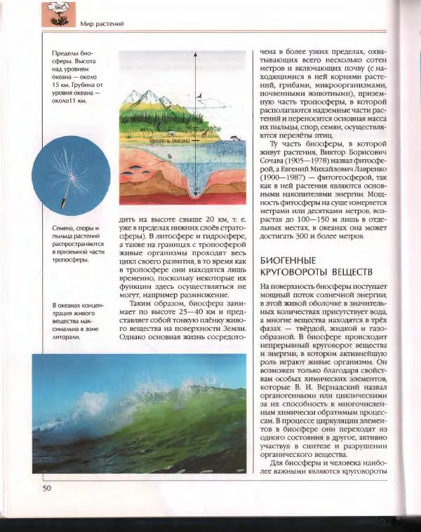  Энциклопедия для детей Аванта+ - Энциклопедия для детей. Том 43. Ботаника - Страница № 54