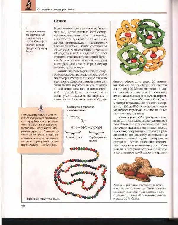  Энциклопедия для детей Аванта+ - Энциклопедия для детей. Том 43. Ботаника - Страница № 72