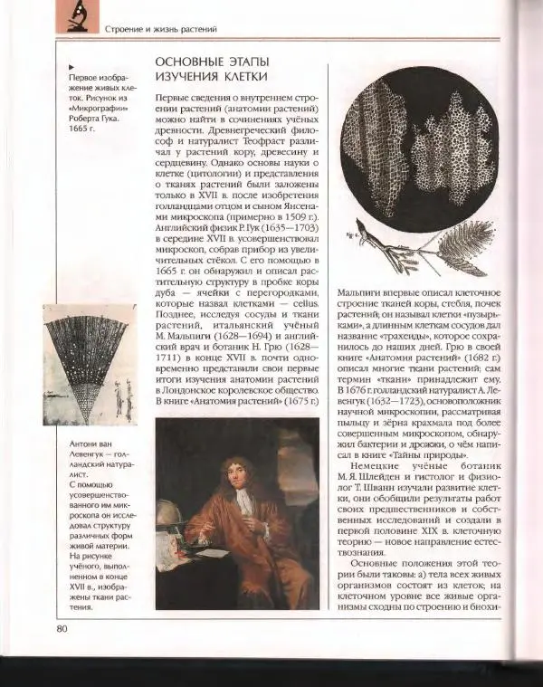  Энциклопедия для детей Аванта+ - Энциклопедия для детей. Том 43. Ботаника - Страница № 84