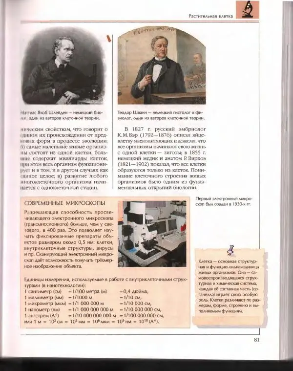  Энциклопедия для детей Аванта+ - Энциклопедия для детей. Том 43. Ботаника - Страница № 85