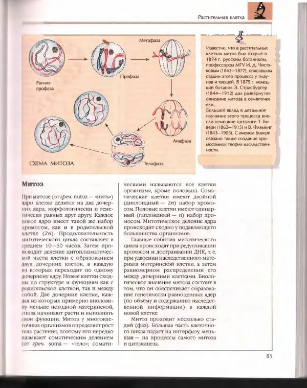  Энциклопедия для детей Аванта+ - Энциклопедия для детей. Том 43. Ботаника - Страница № 87