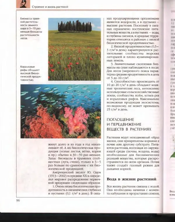  Энциклопедия для детей Аванта+ - Энциклопедия для детей. Том 43. Ботаника - Страница № 100