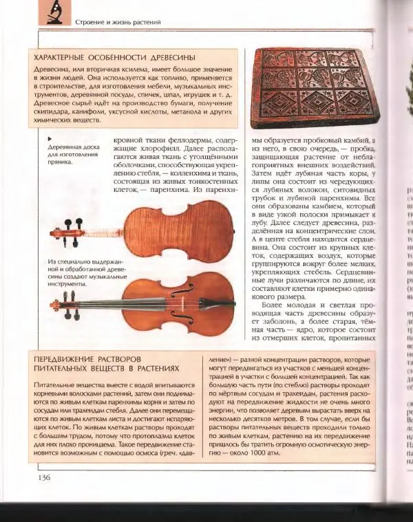  Энциклопедия для детей Аванта+ - Энциклопедия для детей. Том 43. Ботаника - Страница № 140