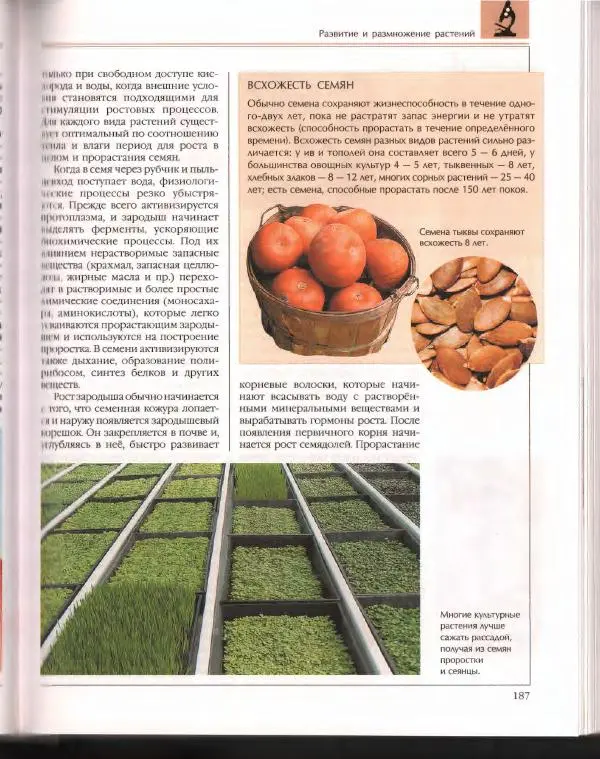  Энциклопедия для детей Аванта+ - Энциклопедия для детей. Том 43. Ботаника - Страница № 191