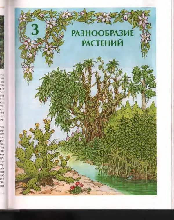  Энциклопедия для детей Аванта+ - Энциклопедия для детей. Том 43. Ботаника - Страница № 199