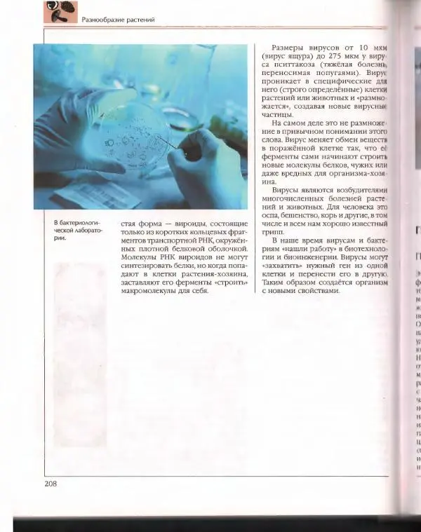  Энциклопедия для детей Аванта+ - Энциклопедия для детей. Том 43. Ботаника - Страница № 212