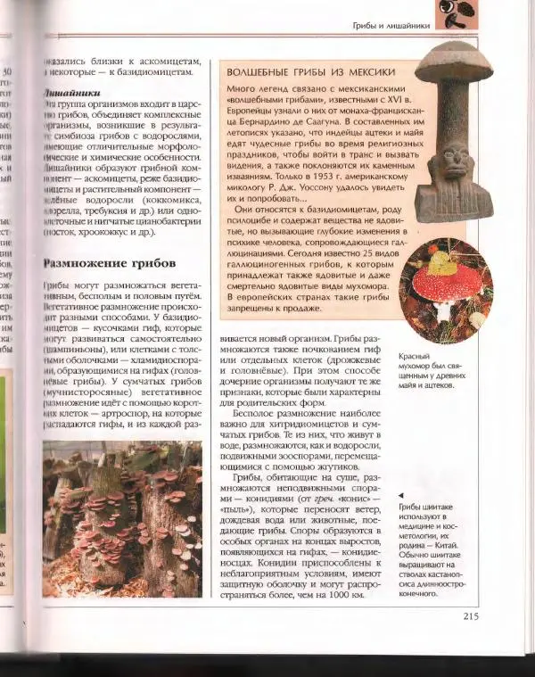  Энциклопедия для детей Аванта+ - Энциклопедия для детей. Том 43. Ботаника - Страница № 219