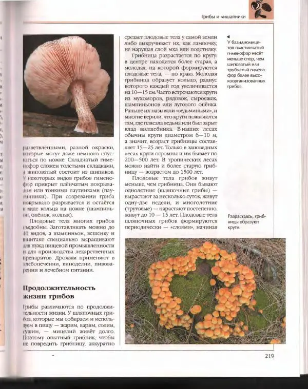  Энциклопедия для детей Аванта+ - Энциклопедия для детей. Том 43. Ботаника - Страница № 223