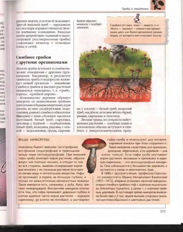 Энциклопедия для детей Аванта+ - Энциклопедия для детей. Том 43. Ботаника - Страница № 227