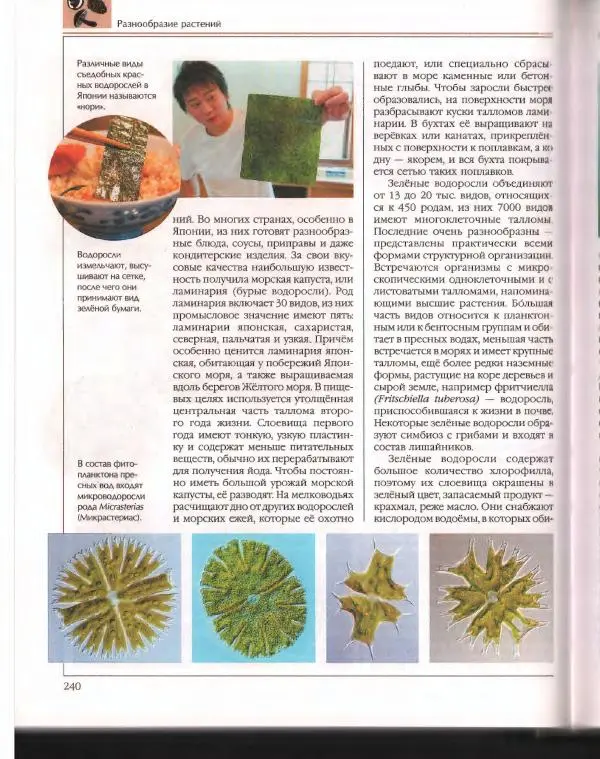  Энциклопедия для детей Аванта+ - Энциклопедия для детей. Том 43. Ботаника - Страница № 244