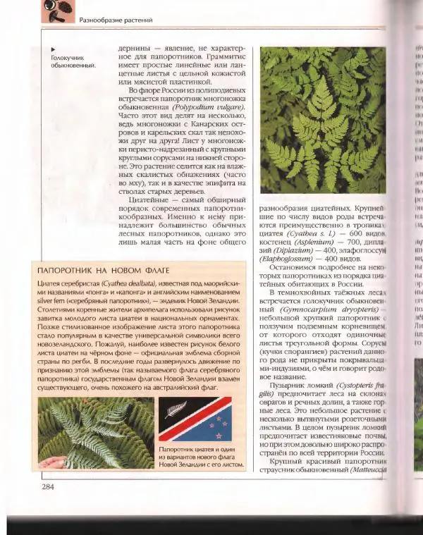  Энциклопедия для детей Аванта+ - Энциклопедия для детей. Том 43. Ботаника - Страница № 288