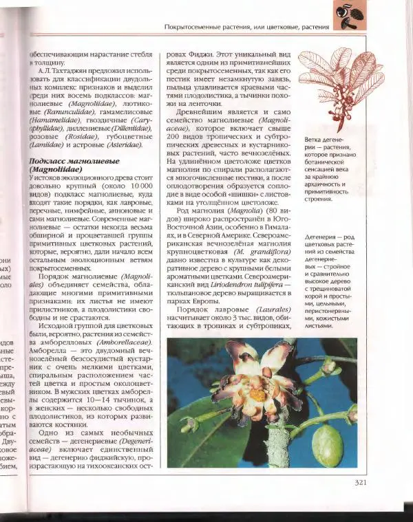  Энциклопедия для детей Аванта+ - Энциклопедия для детей. Том 43. Ботаника - Страница № 325