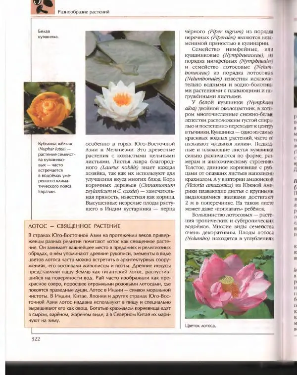  Энциклопедия для детей Аванта+ - Энциклопедия для детей. Том 43. Ботаника - Страница № 326