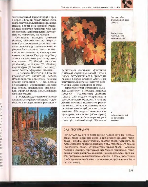  Энциклопедия для детей Аванта+ - Энциклопедия для детей. Том 43. Ботаника - Страница № 355