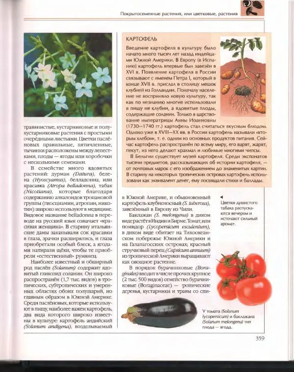  Энциклопедия для детей Аванта+ - Энциклопедия для детей. Том 43. Ботаника - Страница № 363