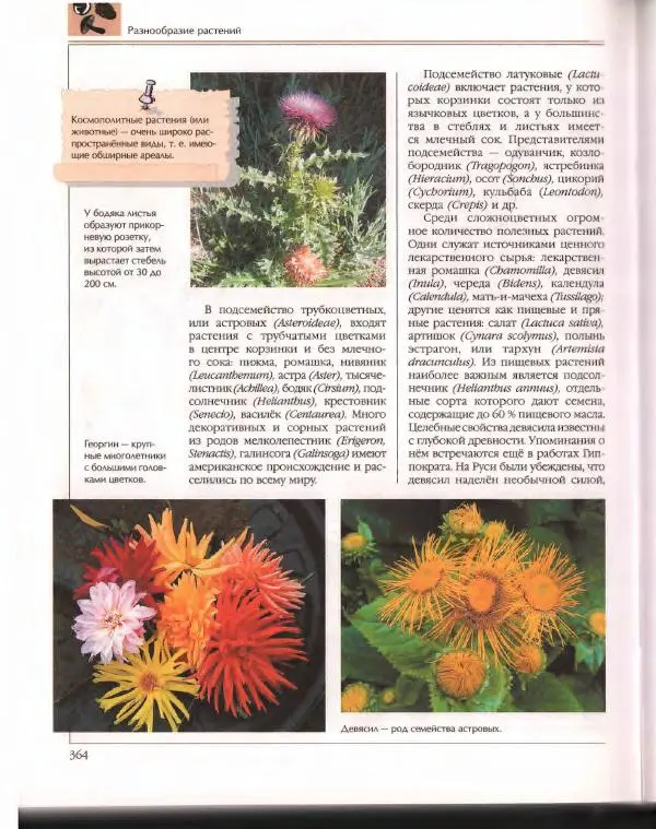 Энциклопедия для детей Аванта+ - Энциклопедия для детей. Том 43. Ботаника - Страница № 368
