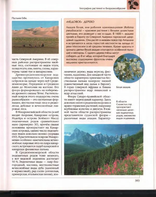  Энциклопедия для детей Аванта+ - Энциклопедия для детей. Том 43. Ботаника - Страница № 387
