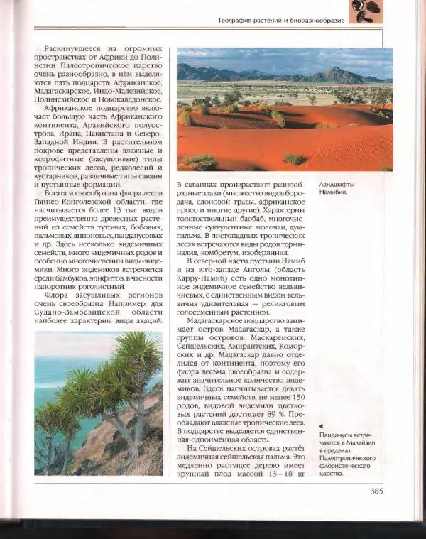  Энциклопедия для детей Аванта+ - Энциклопедия для детей. Том 43. Ботаника - Страница № 389
