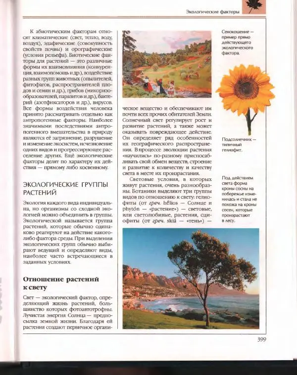  Энциклопедия для детей Аванта+ - Энциклопедия для детей. Том 43. Ботаника - Страница № 403