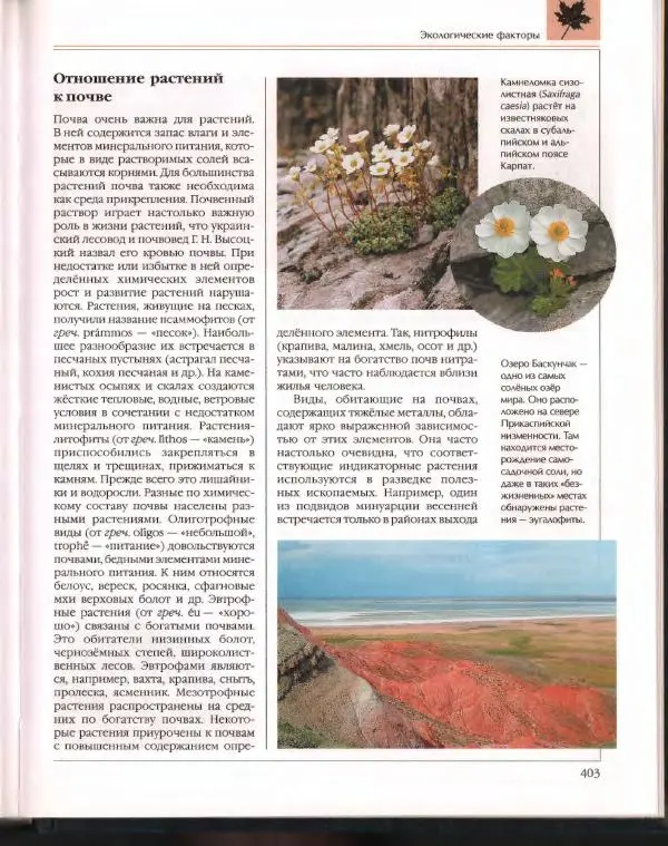  Энциклопедия для детей Аванта+ - Энциклопедия для детей. Том 43. Ботаника - Страница № 407