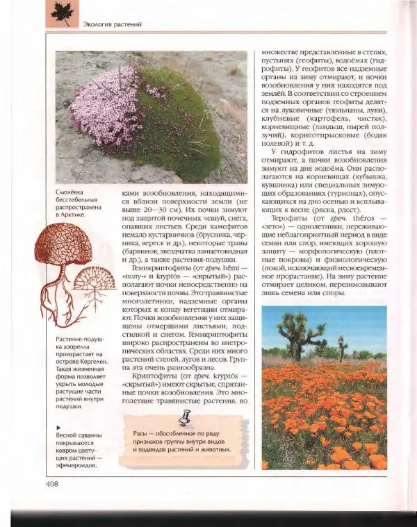  Энциклопедия для детей Аванта+ - Энциклопедия для детей. Том 43. Ботаника - Страница № 412