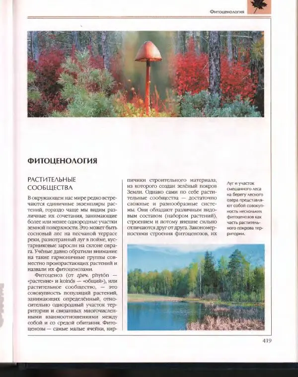  Энциклопедия для детей Аванта+ - Энциклопедия для детей. Том 43. Ботаника - Страница № 423