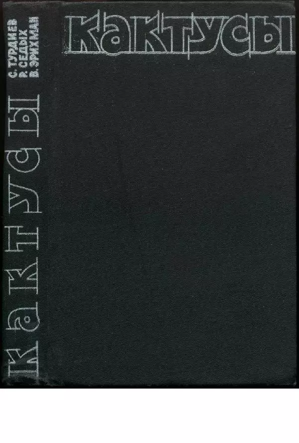 Савур Турдиев - Кактусы - Страница № 1