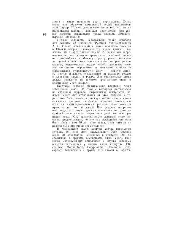 Савур Турдиев - Кактусы - Страница № 86