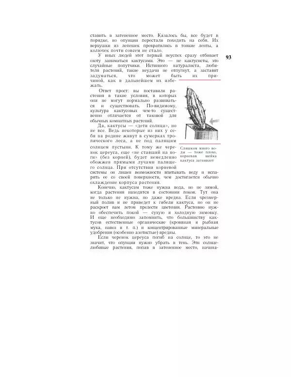 Савур Турдиев - Кактусы - Страница № 93