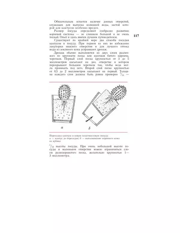 Савур Турдиев - Кактусы - Страница № 117