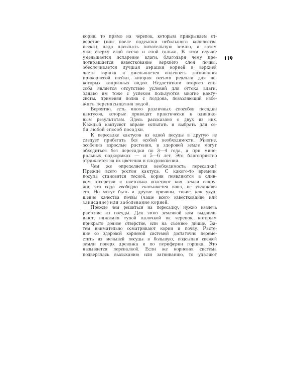 Савур Турдиев - Кактусы - Страница № 119