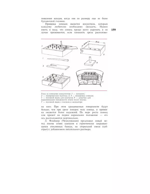 Савур Турдиев - Кактусы - Страница № 159