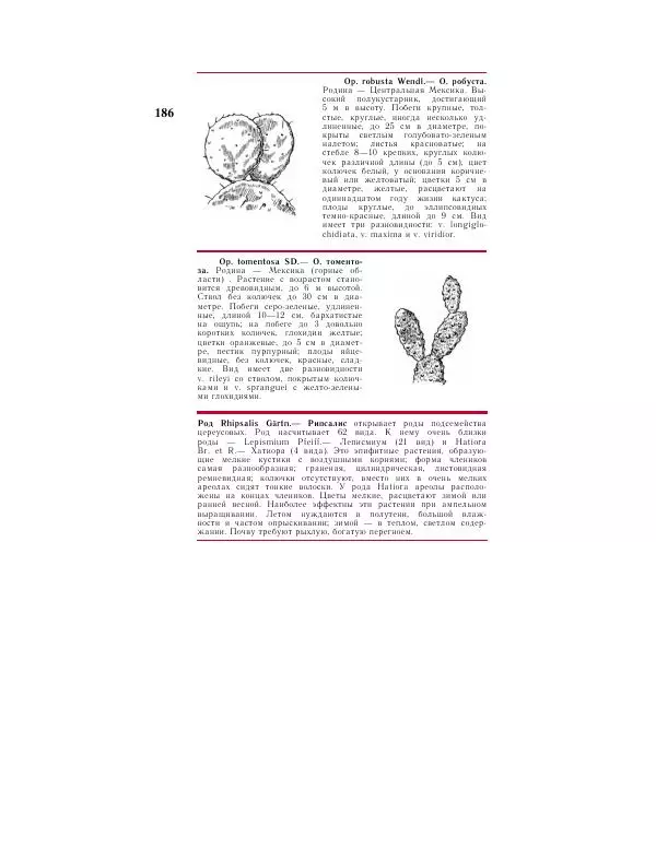 Савур Турдиев - Кактусы - Страница № 186