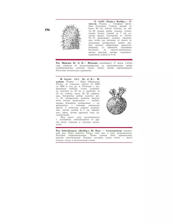 Савур Турдиев - Кактусы - Страница № 196