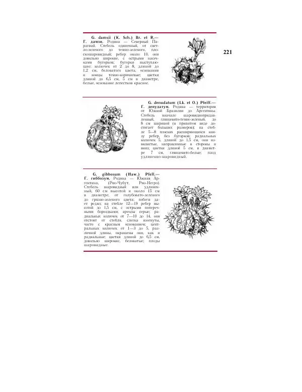 Савур Турдиев - Кактусы - Страница № 221