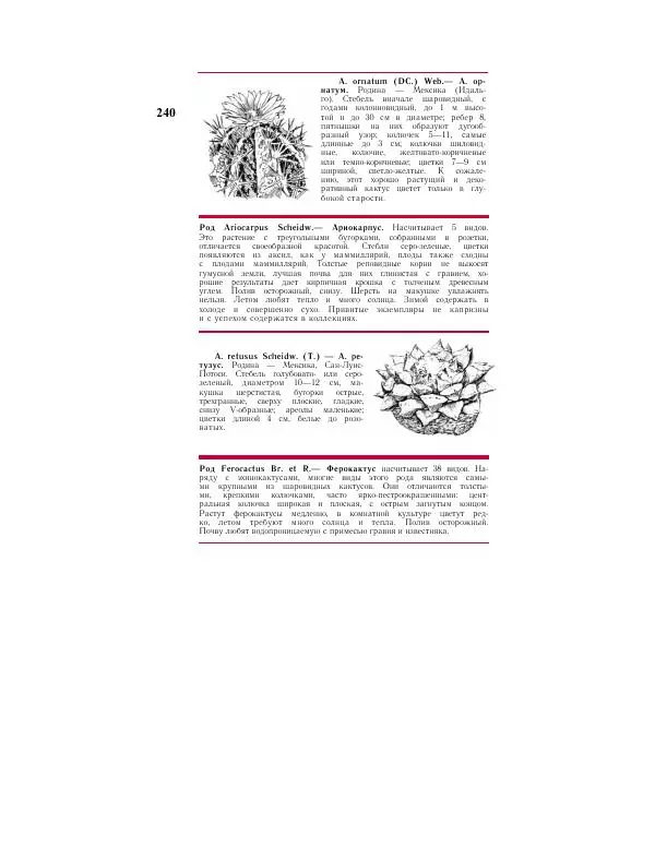 Савур Турдиев - Кактусы - Страница № 240