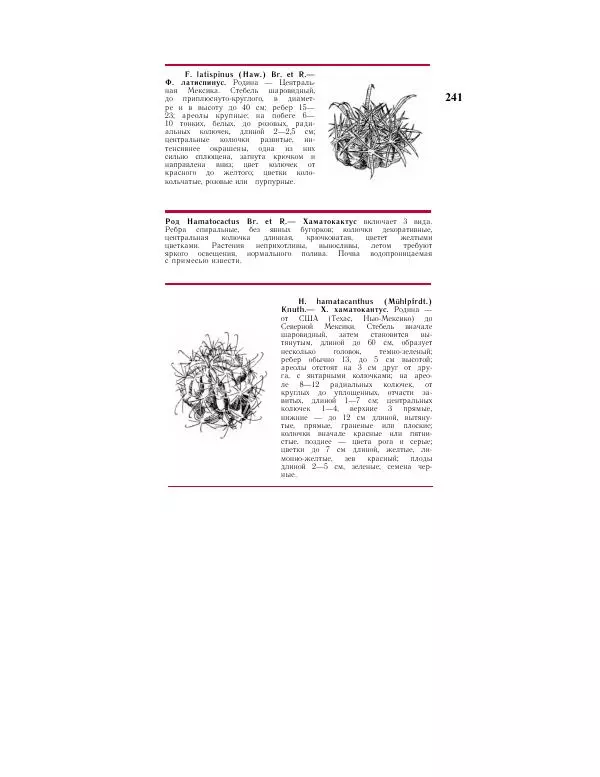 Савур Турдиев - Кактусы - Страница № 241