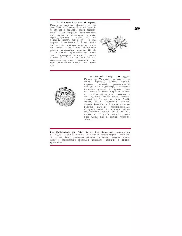 Савур Турдиев - Кактусы - Страница № 259