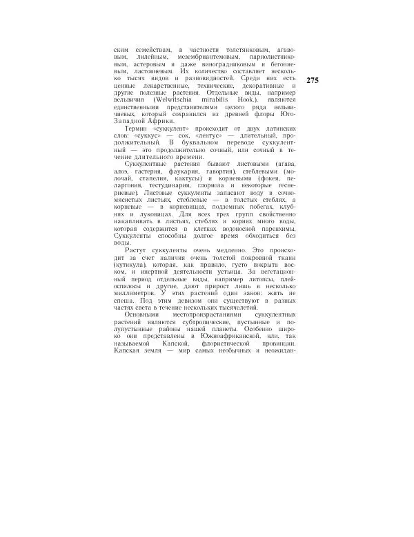 Савур Турдиев - Кактусы - Страница № 275