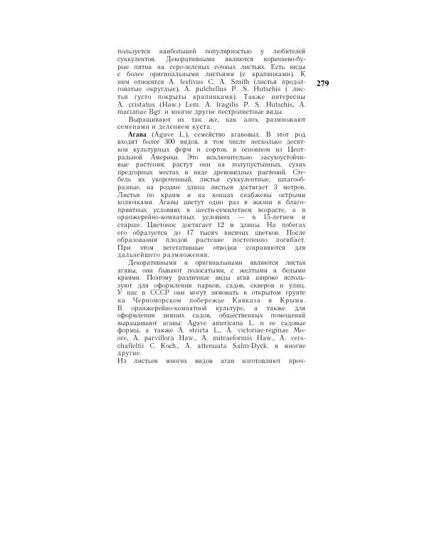 Савур Турдиев - Кактусы - Страница № 279