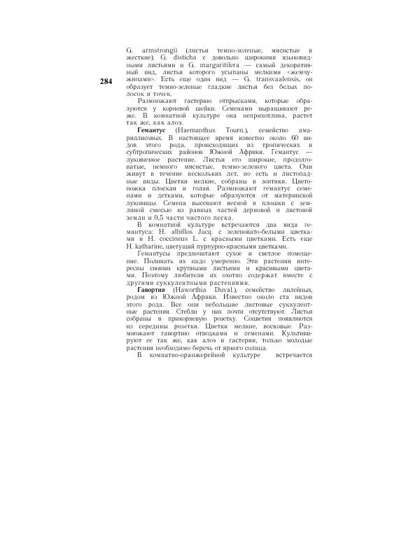 Савур Турдиев - Кактусы - Страница № 284