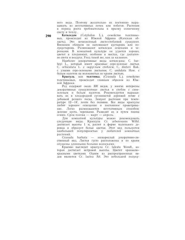 Савур Турдиев - Кактусы - Страница № 290